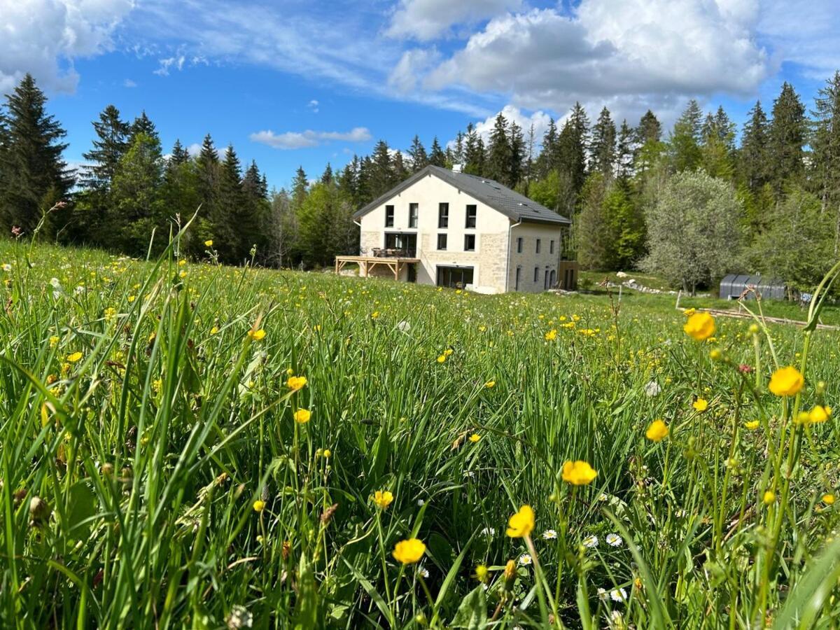 Gite De Prestige En Pleine Nature Prémanon Dış mekan fotoğraf